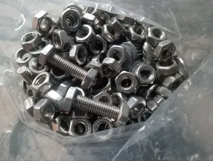 M6x25mm Stainless Bolt 304L
