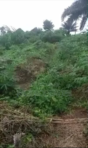 Landing Property