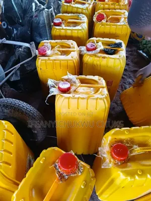 Premium Quality Palm Oil 25 Litres