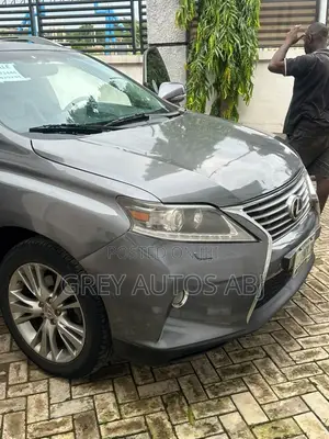 Lexus RX 2013 Gray