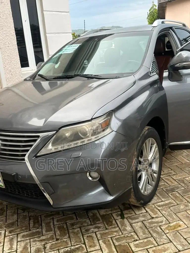 Lexus RX 2013 Gray
