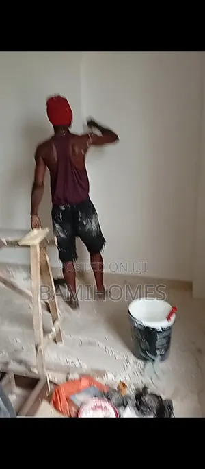 Professional Painter