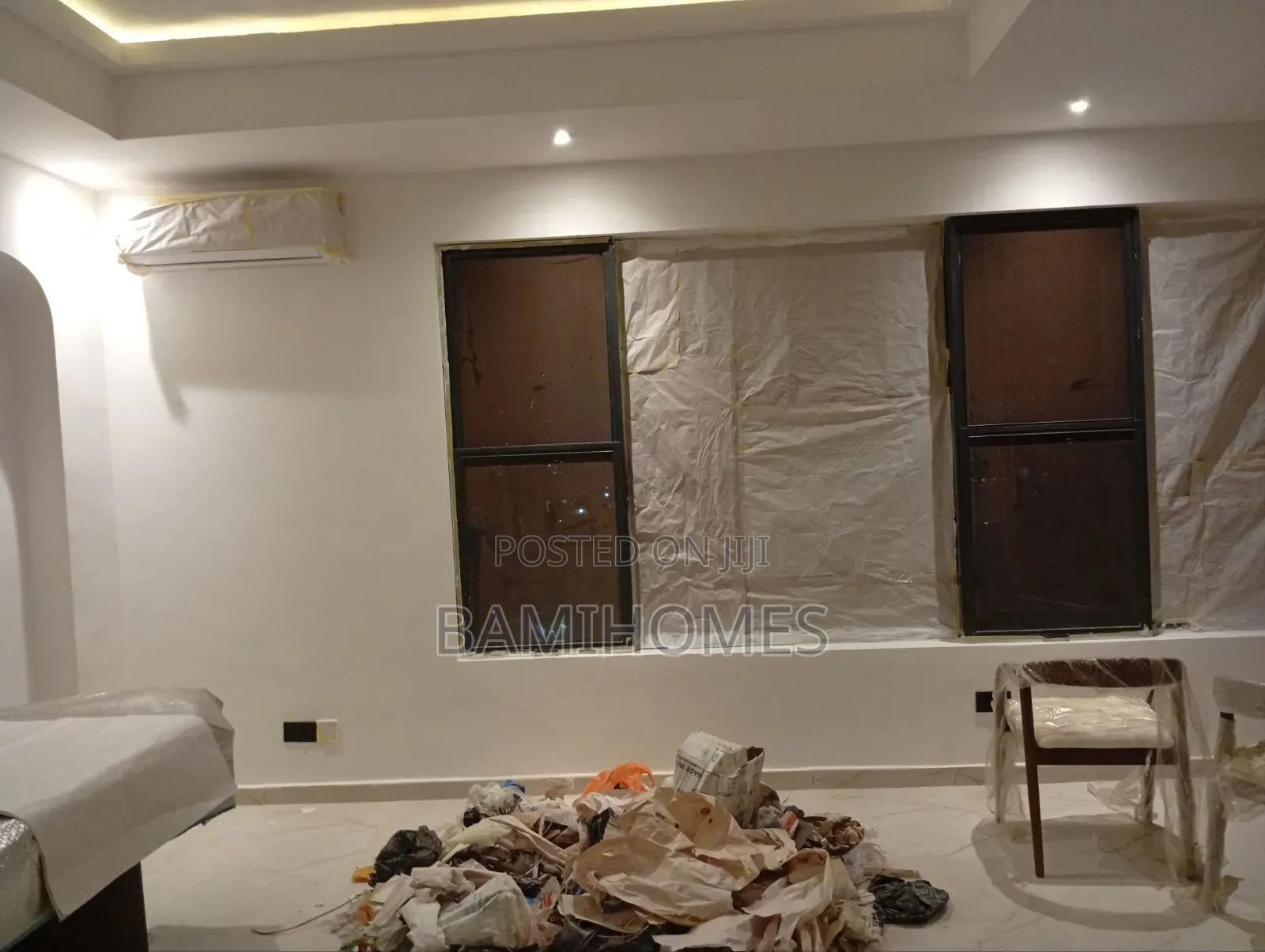 Professional Painter