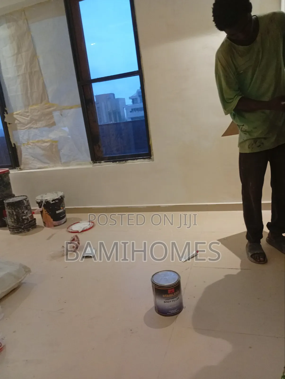 Professional Painter