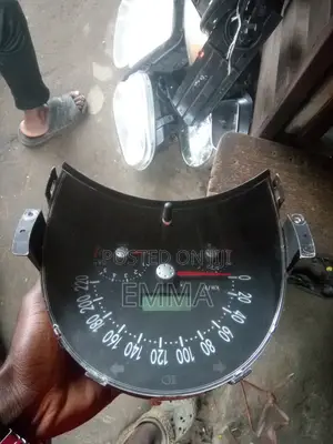 Speedometer Bug/Bettle