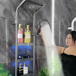 Excutve Luxury Shower for Master Bathroom
