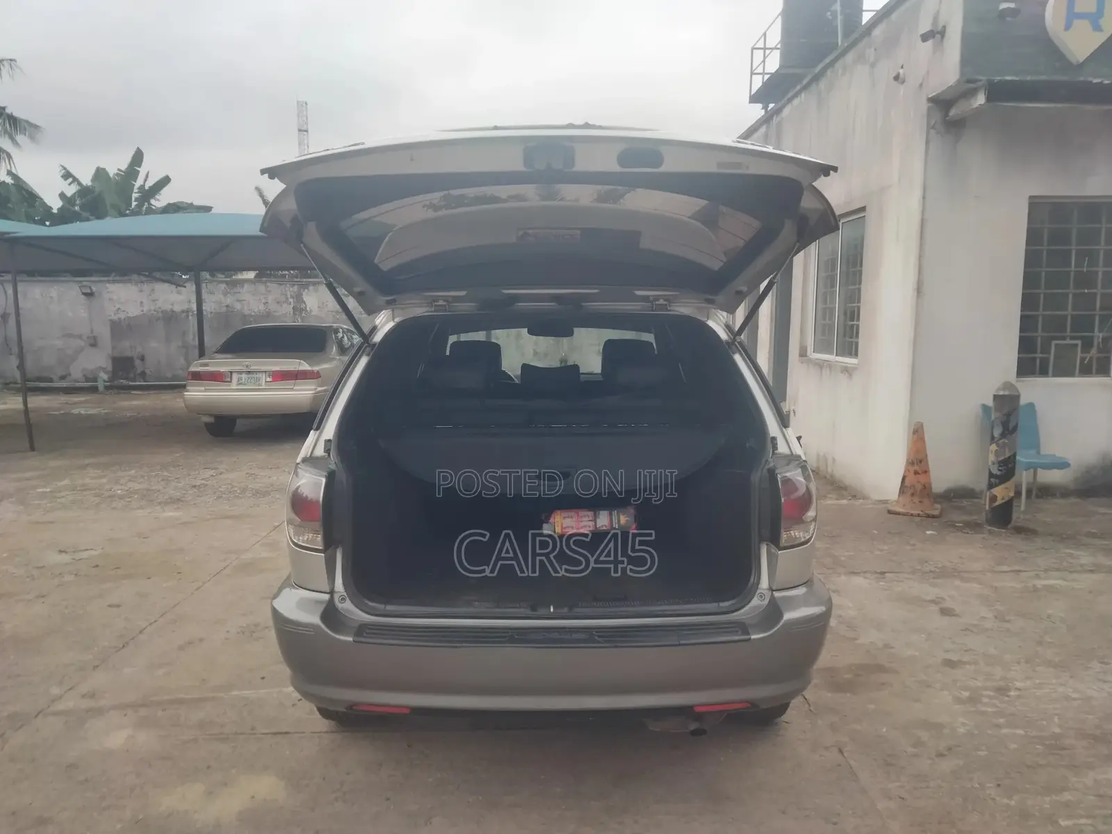 Lexus RX 2002 Silver