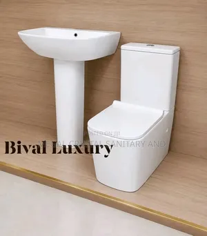 Excutve Toilet Water Closet Wc