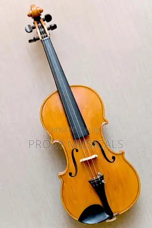 Violin 4/4 Full Size
