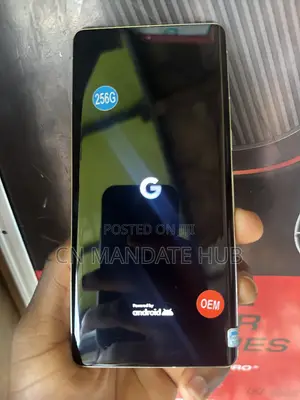Google Pixel 7 Pro 256 GB