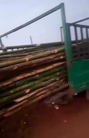E Bamboo Bamboo