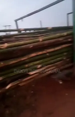 E Bamboo Bamboo