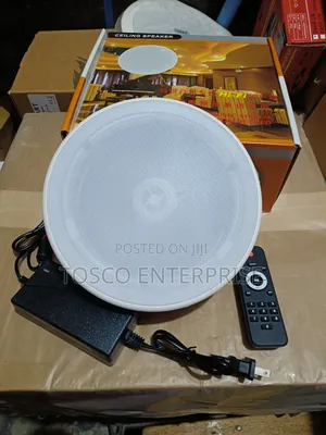 Single 80watts Frameless Bluetooth Ceiling SPK With Remote Control