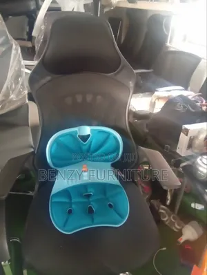 Spine and Back Support