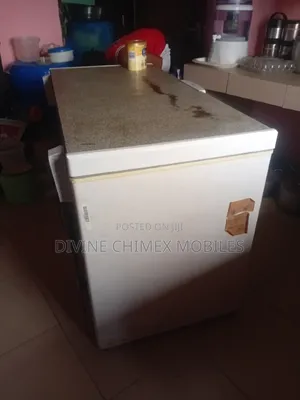 Beko Freezer
