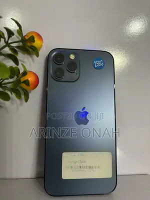 Apple iPhone 12 Pro 256 GB Blue