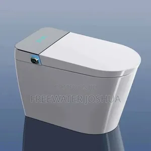 Smart Water Closet