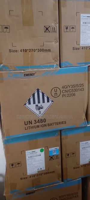2.56kwh 12v C Worth Lithium Battery