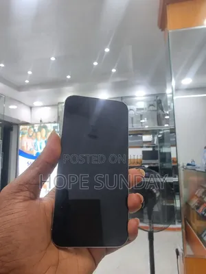 Apple iPhone 15 Pro Max 256 GB