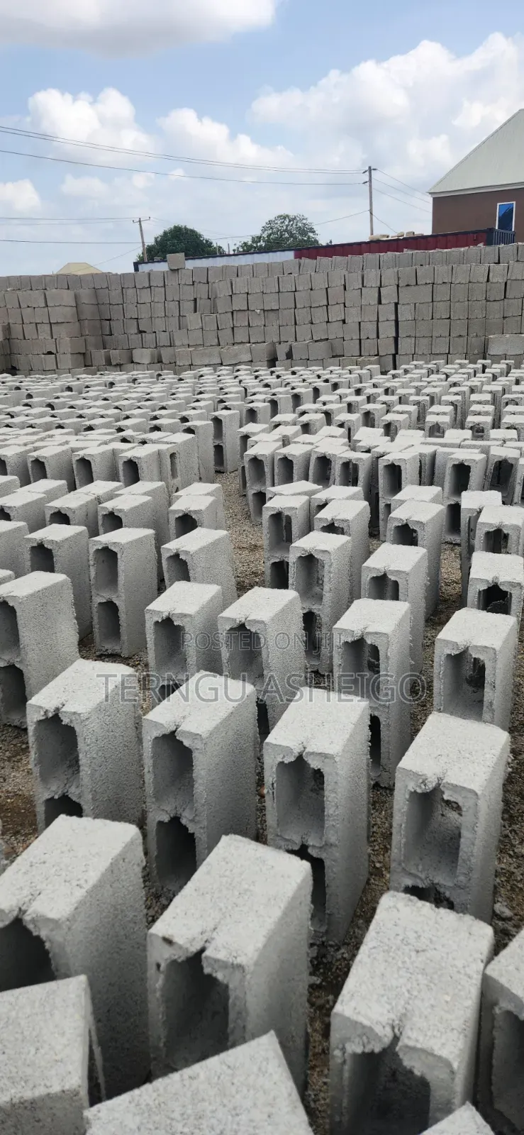 Dangote and Blocks