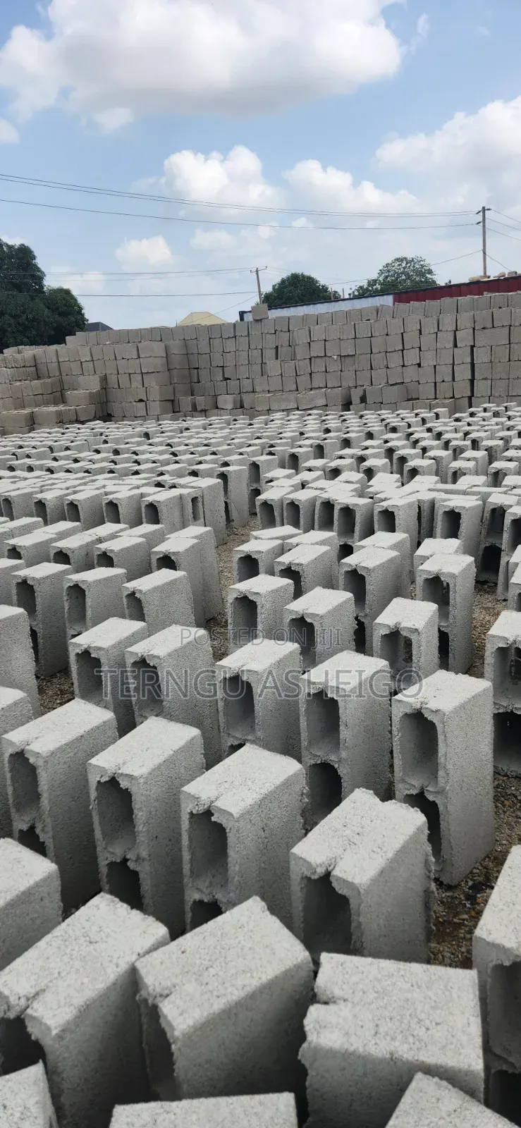 Dangote and Blocks