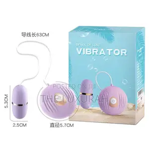 We Love Vibrator – Wireless Remote Egg Vibrator