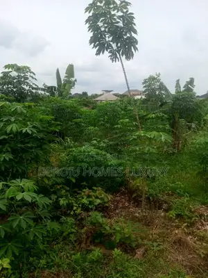 One and Half Plot of Land at Ofada