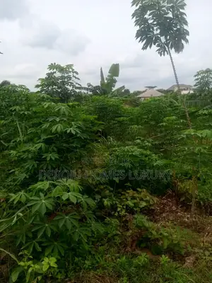 One and Half Plot of Land at Ofada