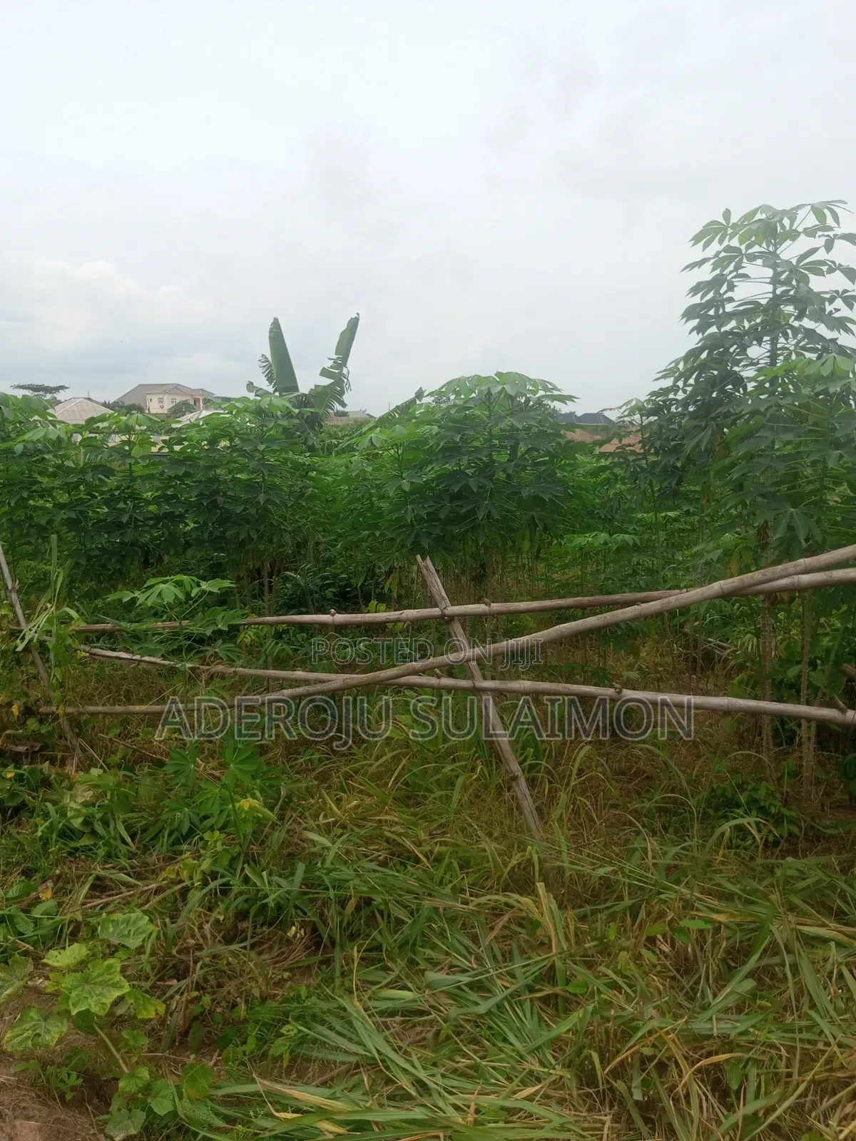 One and Half Plot of Land at Ofada