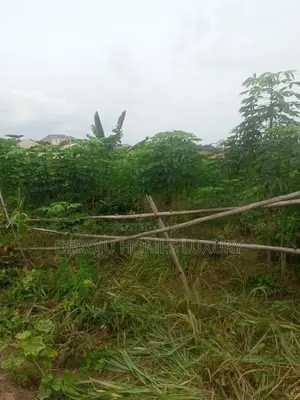 One and Half Plot of Land at Ofada