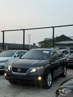 Lexus RX 350 2010 Gray