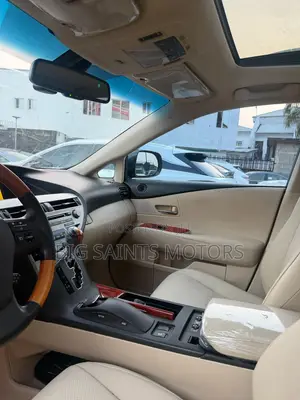 Lexus RX 350 2010 Gray