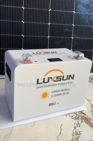 Luxsun 2.56kWh 24V Lithium Battery - LiFePO4 Battery