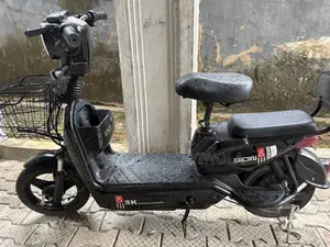 Electric Bike Scooter