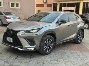 Lexus NX 300 AWD 2019 Gray