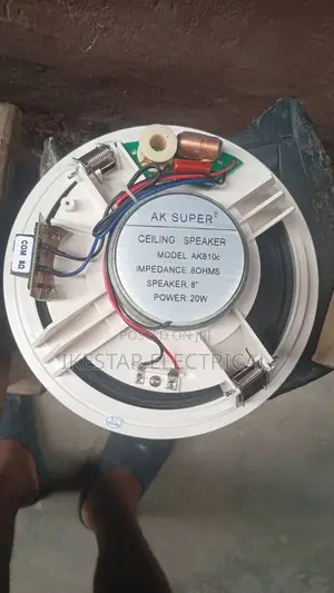 Ceiling Speakers