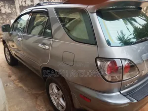 Lexus RX 300 4WD 2003 Gray