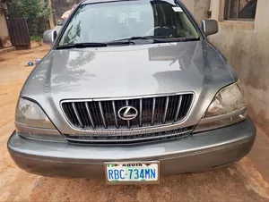 Lexus RX 300 4WD 2003 Gray