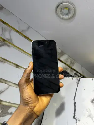 Apple iPhone 14 Pro Max 512 GB Silver