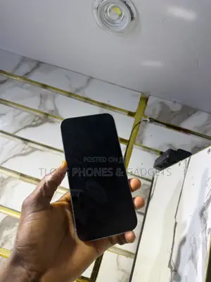 Apple iPhone 14 Pro Max 512 GB Silver