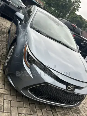 Toyota Corolla LE 2020 Gray