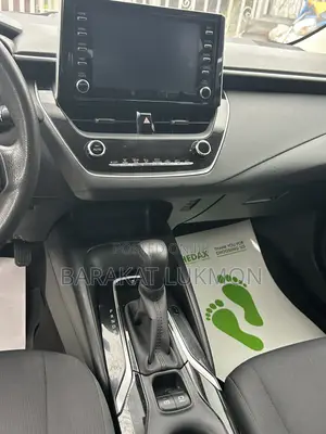 Toyota Corolla LE 2020 Gray