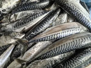 Coldroom in Lekki . Wholesale and Retail Proteins Store