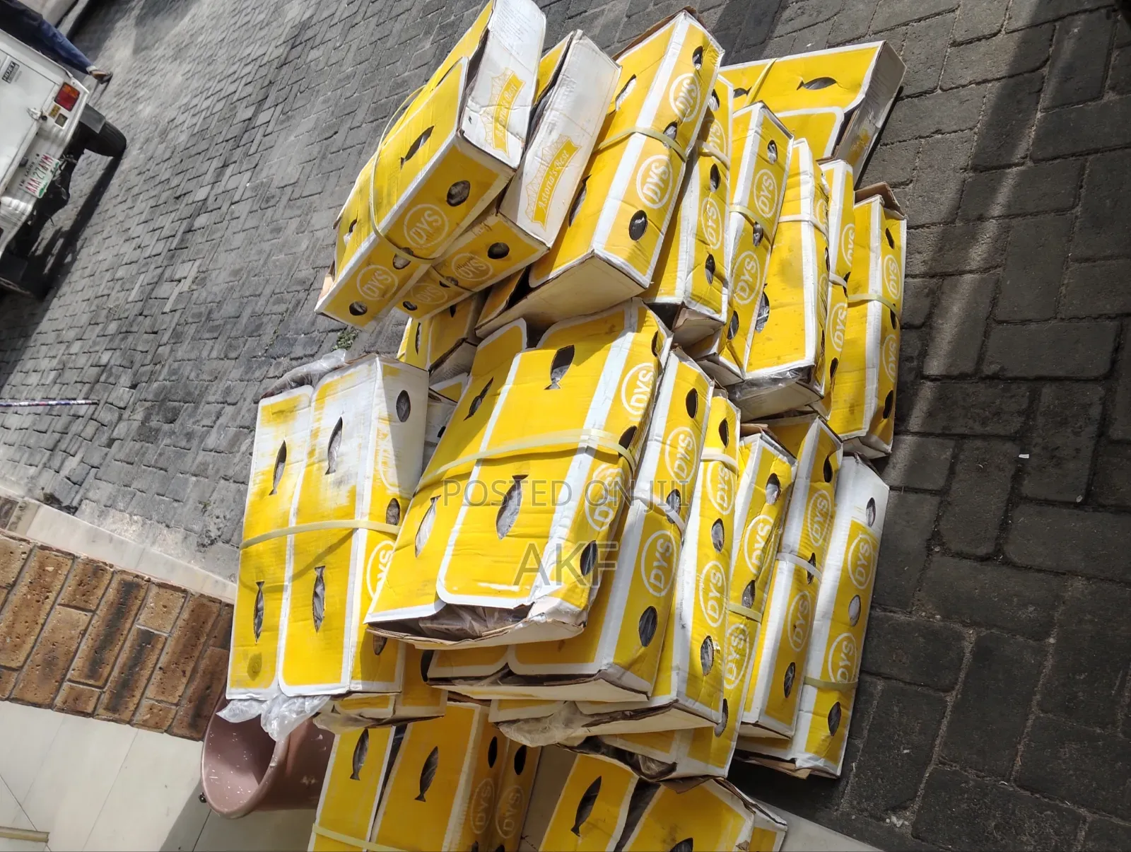 Hake Cartons