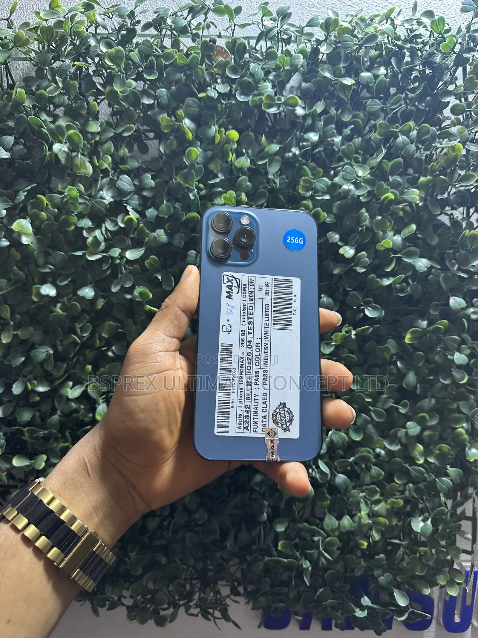 Apple iPhone 12 Pro Max 256 GB Blue