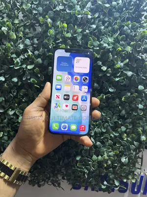 Apple iPhone 12 Pro Max 256 GB Blue