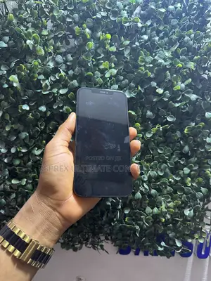 Apple iPhone 12 Pro Max 256 GB Blue