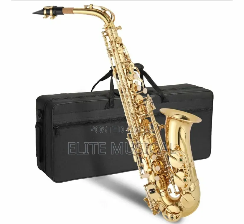 Professional Saxophone