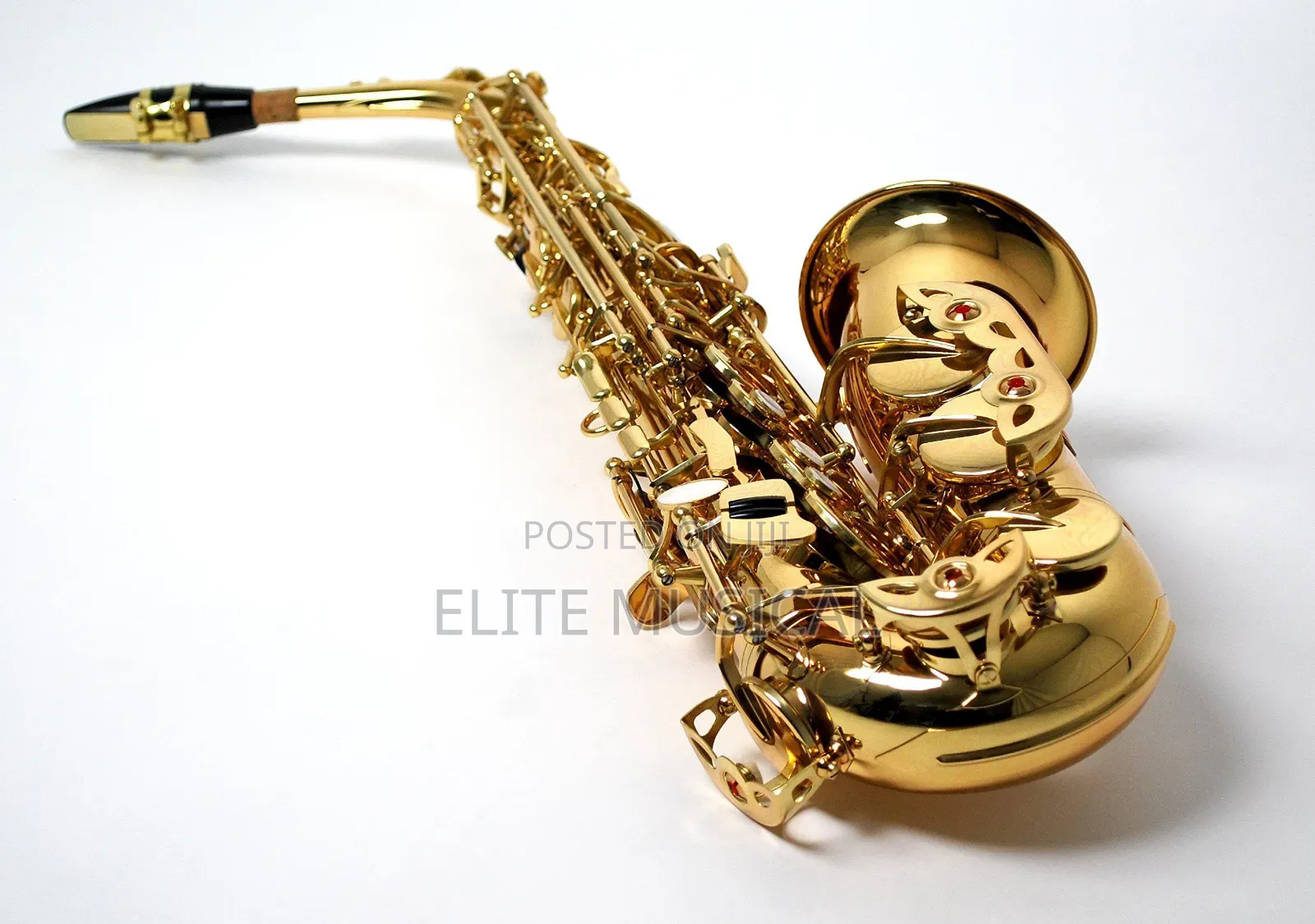 Professional Saxophone