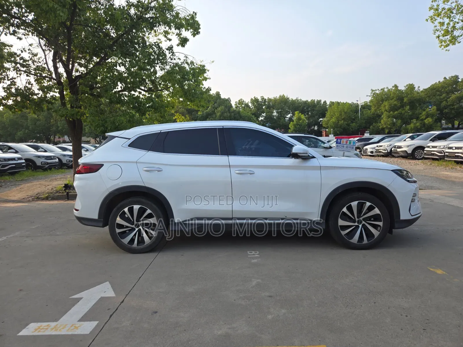 BYD Song Plus 2023 White